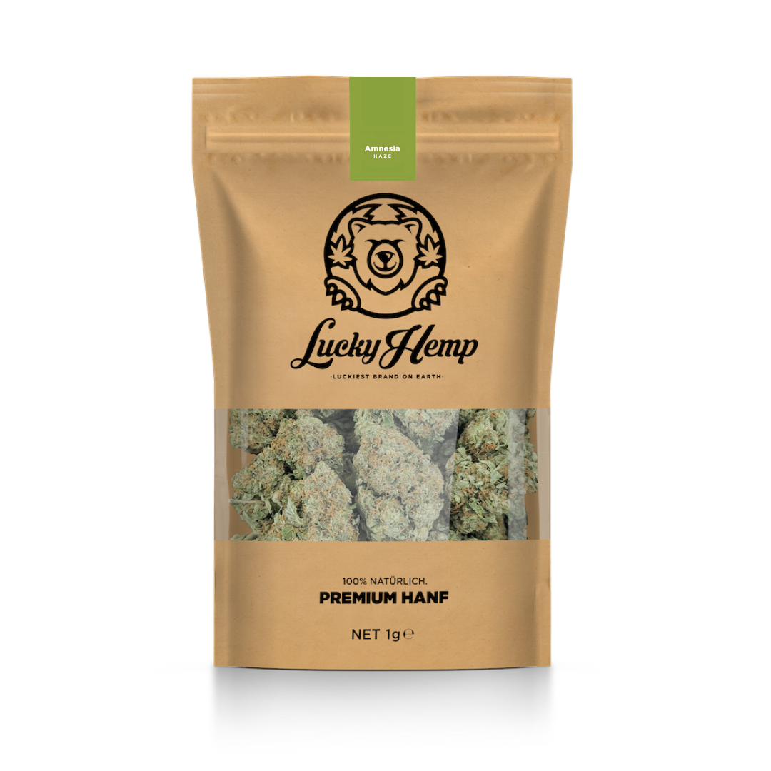 Paquete ecológico California Blueberry