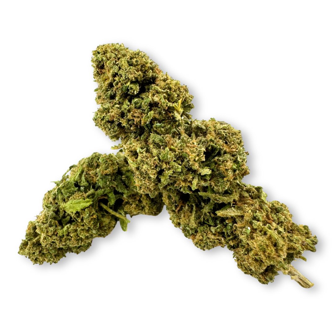 Paquete ecológico California Blueberry