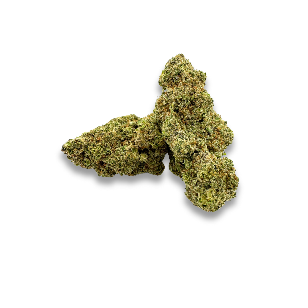 Paquete ecológico California Blueberry