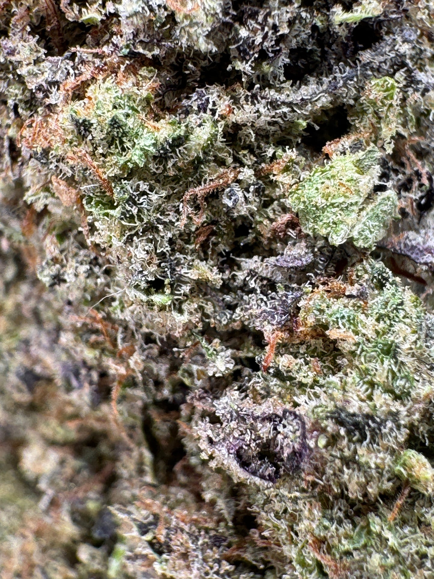 Whitelabel Purple Punch Nachfüllpack