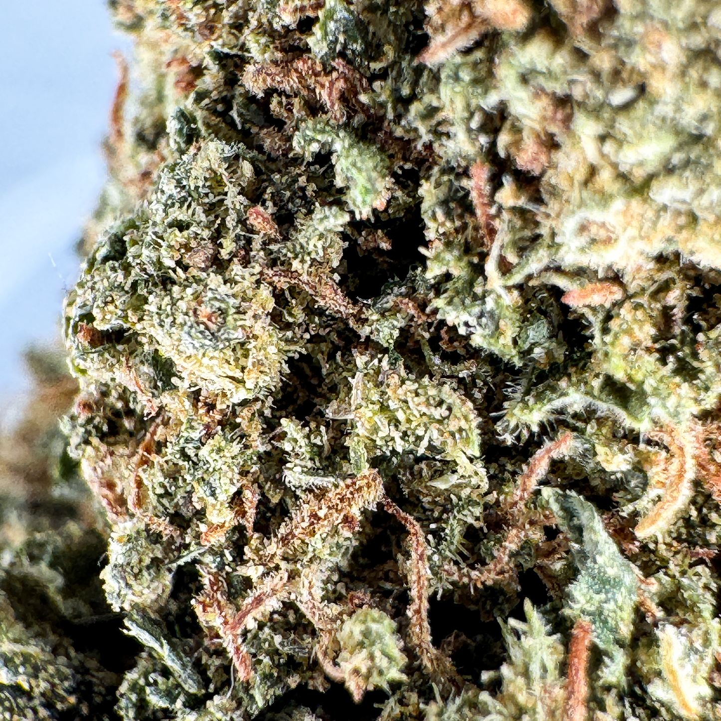 Orange Bud Productos a granel