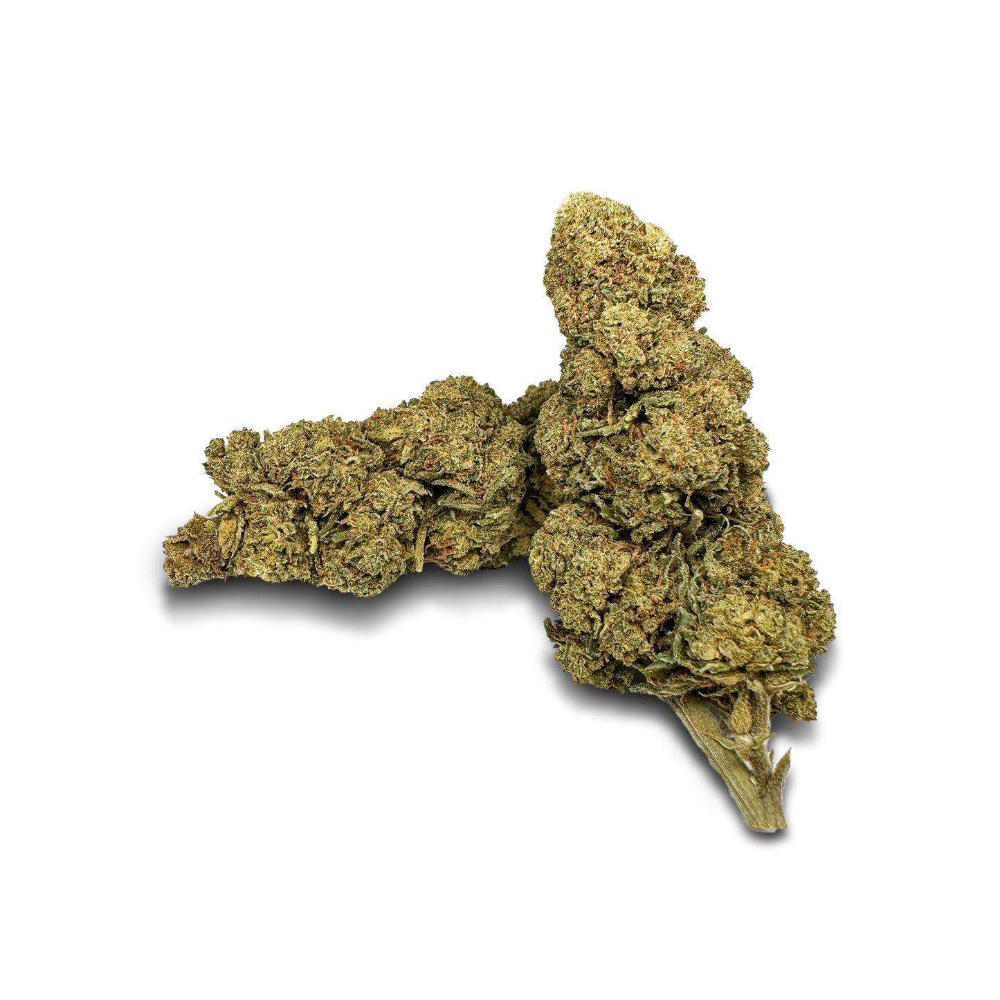 Orange Bud Productos a granel