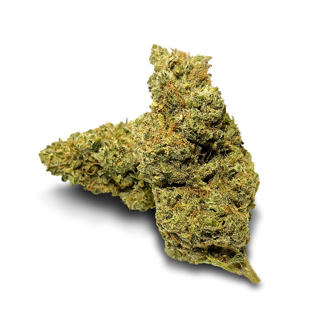 Paquete ecológico California Blueberry