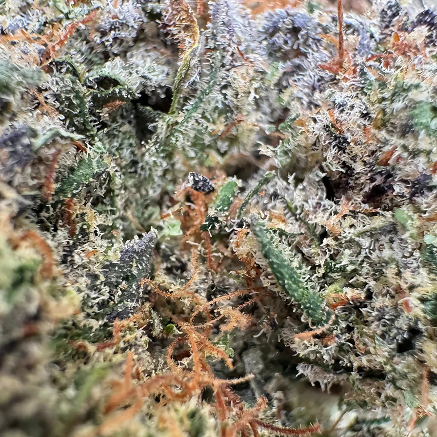 Berry Kush Productos a granel