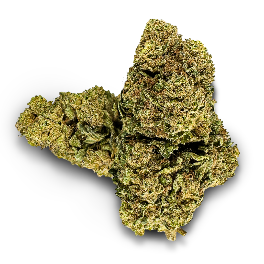 Power Plant Ökopack Blüten Lucky Hemp