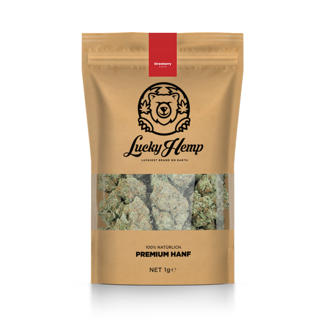 Paquete ecológico California Blueberry