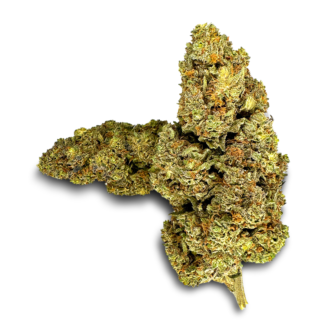 Paquete ecológico California Blueberry