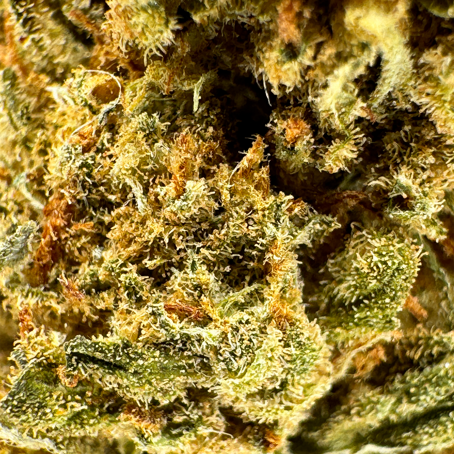 Super lemon Haze Productos a granel