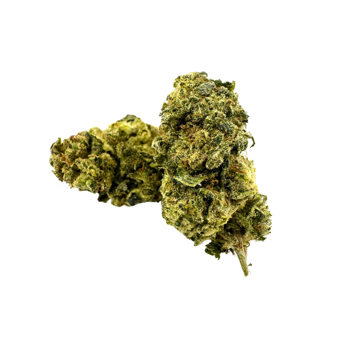 California Blueberry eco pack