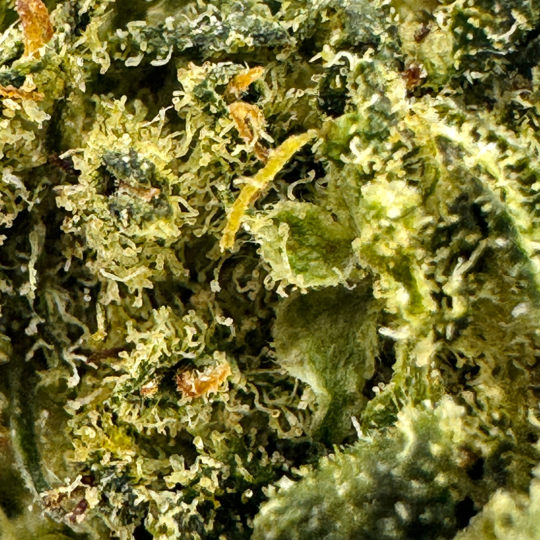 Berry Kush Productos a granel