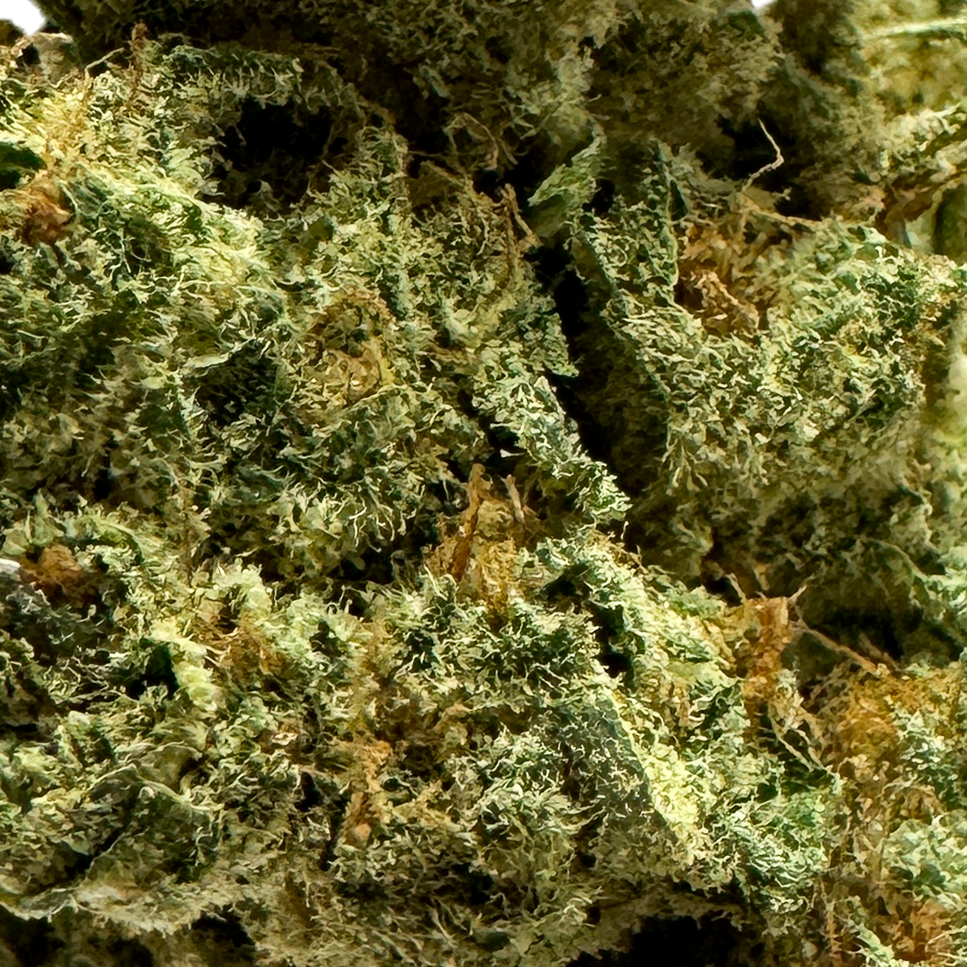 Wedding Cake Öko-Pack Blüten Lucky Hemp