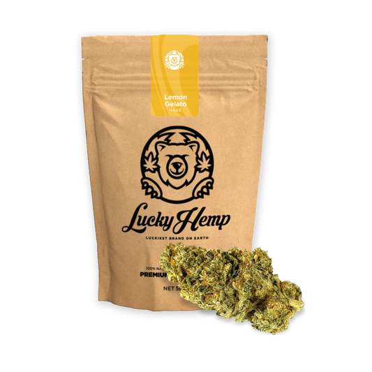 Lemon Gelato Ökopack Blüten Lucky Hemp