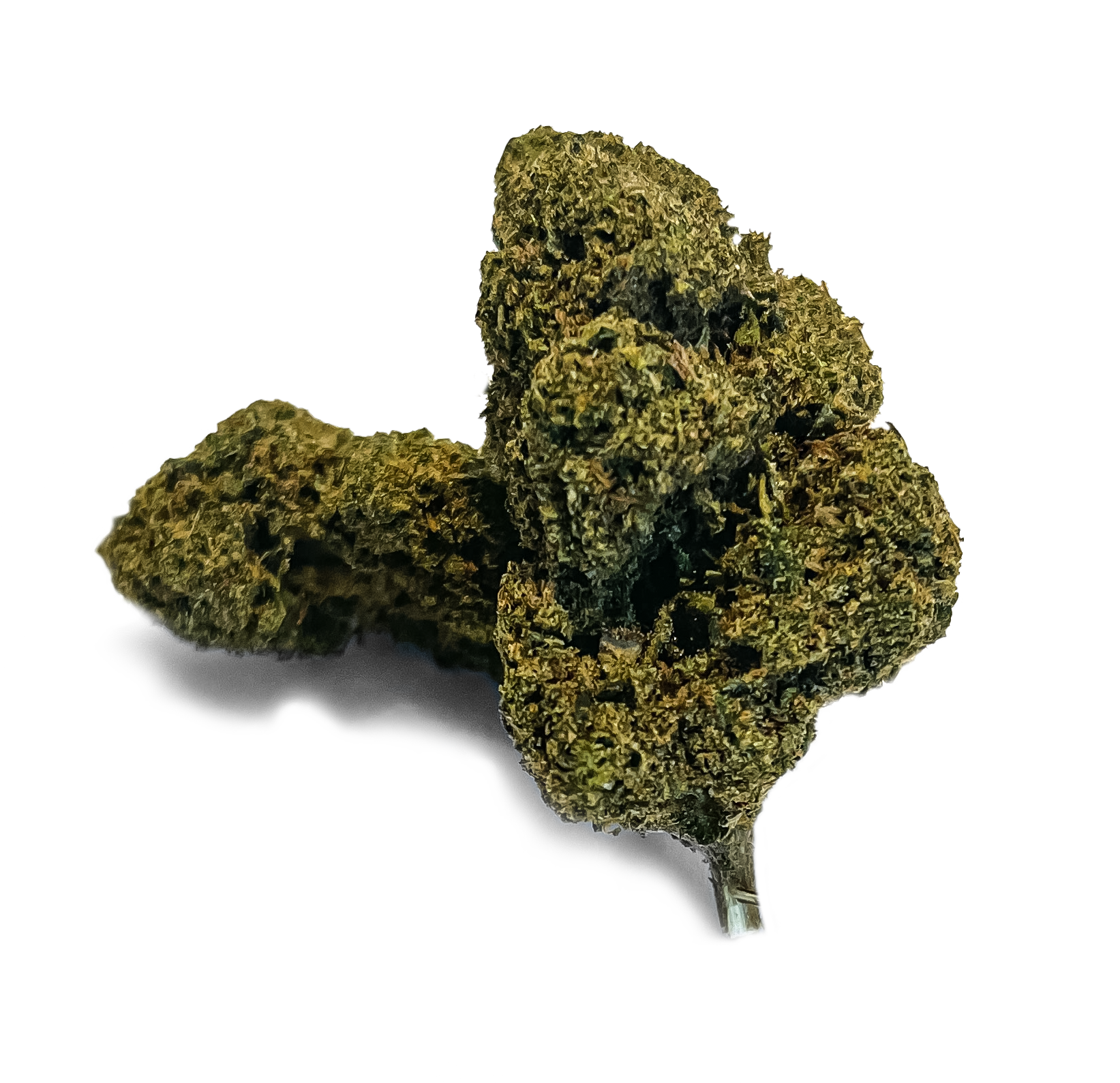 Silver Haze Nachfüllpack Blüten Lucky Hemp