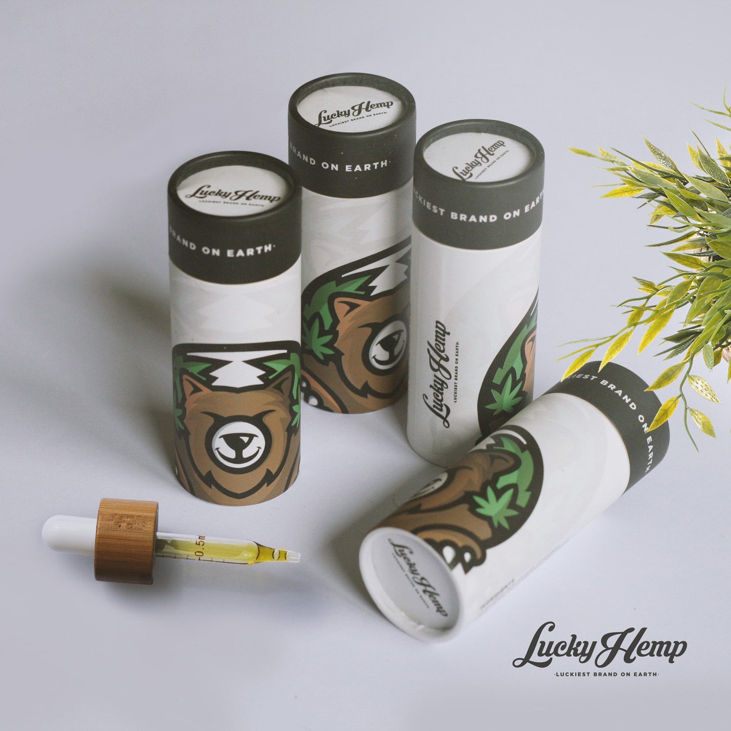 10% Aceite de CBD 1000mg espectro completo