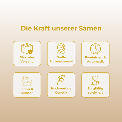 Black Lemon Samen Automatik