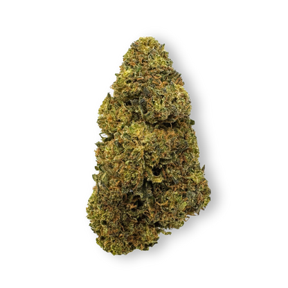 Tropical Haze