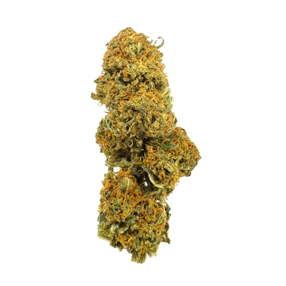 Mango Kush Bulkware