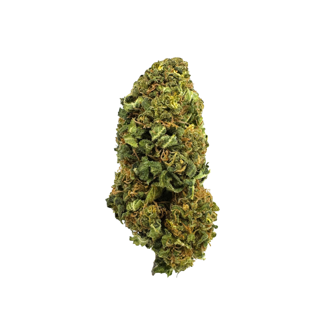 Bahama Mama Ökopack