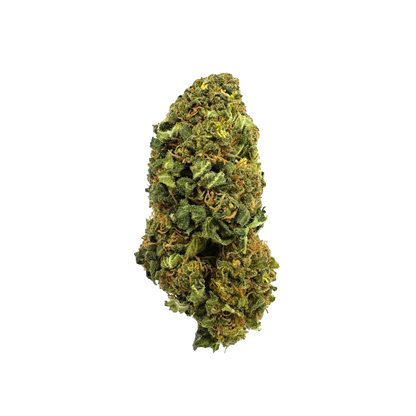 Bahama Mama Ökopack