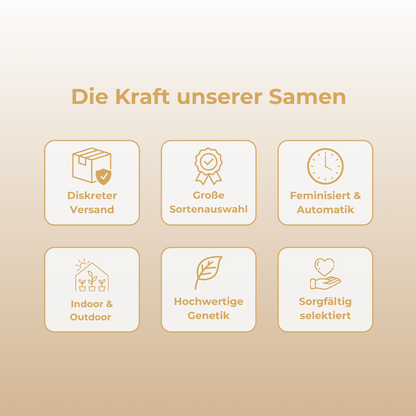 Kosher Kush Samen Feminisiert