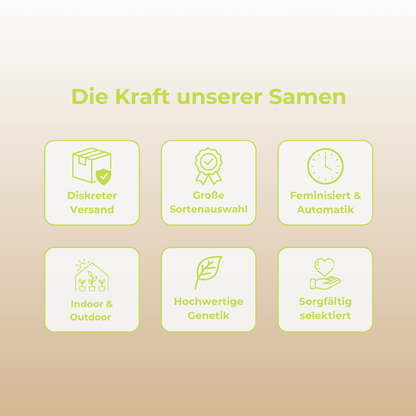 Lemon Lime Samen Automatik