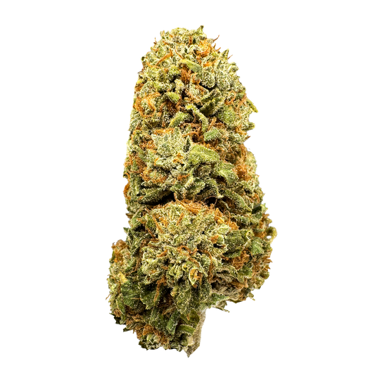 Mango CBG Bulkware