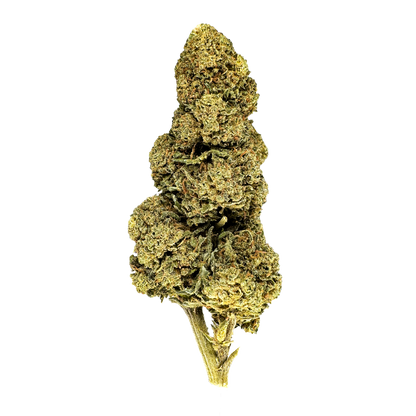 Orange Bud Productos a granel