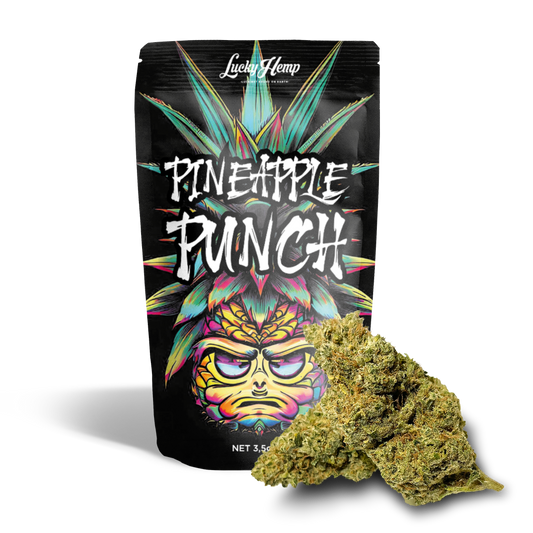 Pineapple Punch Cali Pack Blüten Lucky Hemp