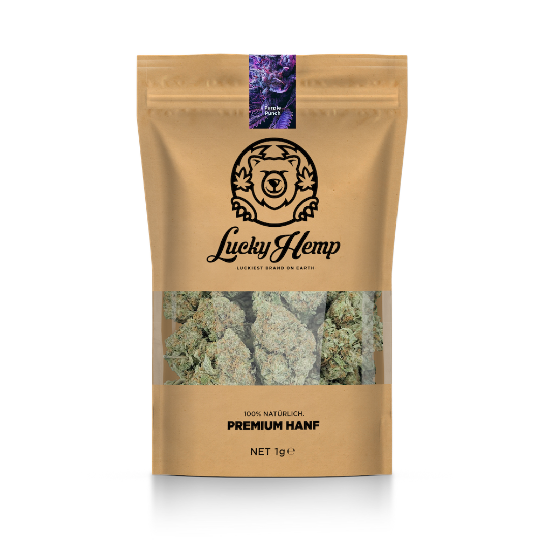 Paquete ecológico California Blueberry