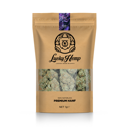 Paquete ecológico California Blueberry