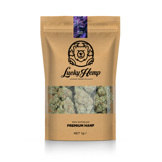 Paquete ecológico California Blueberry