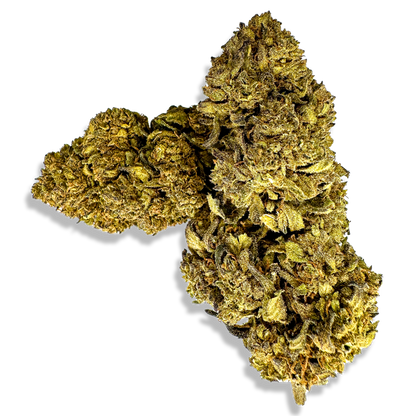 Earthquake CBD Blüten Lucky Hemp   