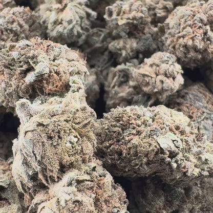 Berry Kush Productos a granel