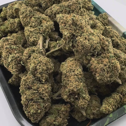 Berry Kush Productos a granel