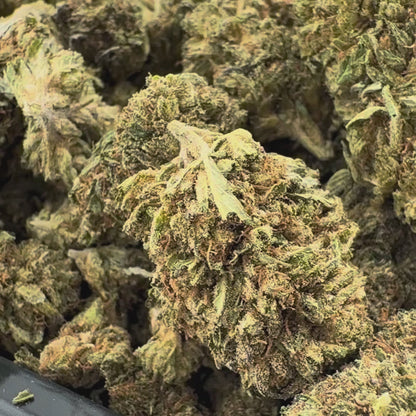 Berry Kush Productos a granel