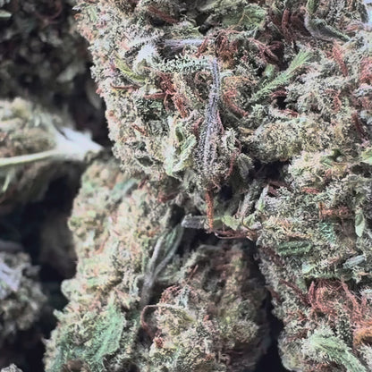 Berry Kush Productos a granel