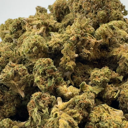 Tropical Haze Bulkware