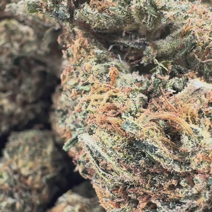 Berry Kush Productos a granel