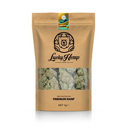 Super lemon Haze eco pack