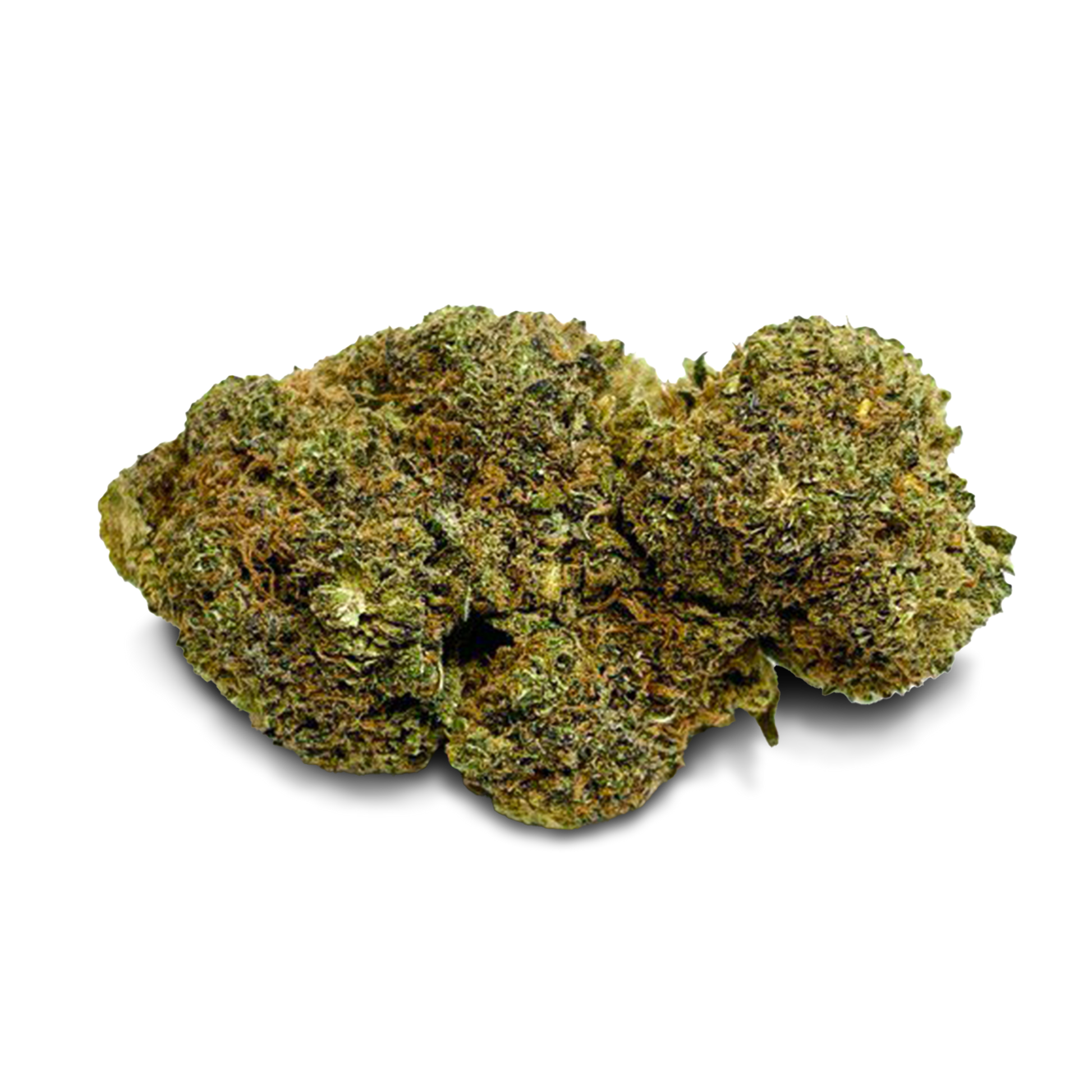 Master Dwarf Cali Pack Blüten Lucky Hemp   