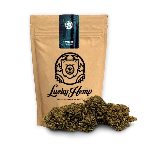 White Widow Öko Nachfüllpack Blüten Lucky Hemp   